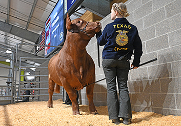  Livestock Show and Sale generates more than $680,000 for projects